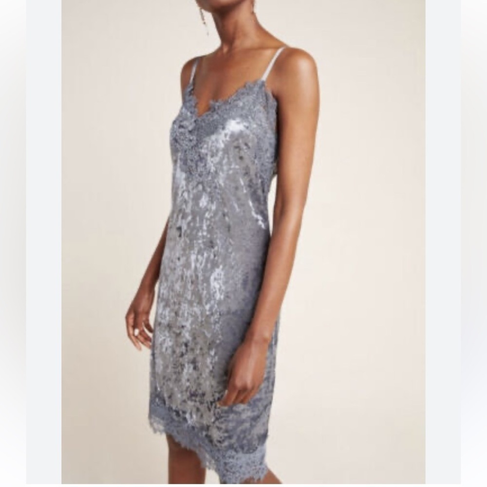 NWT Porridge Anthropologie Tessie Grey Crushed Velvet Lace Slip Dress S